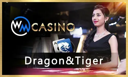 Download our gaming app on mobile